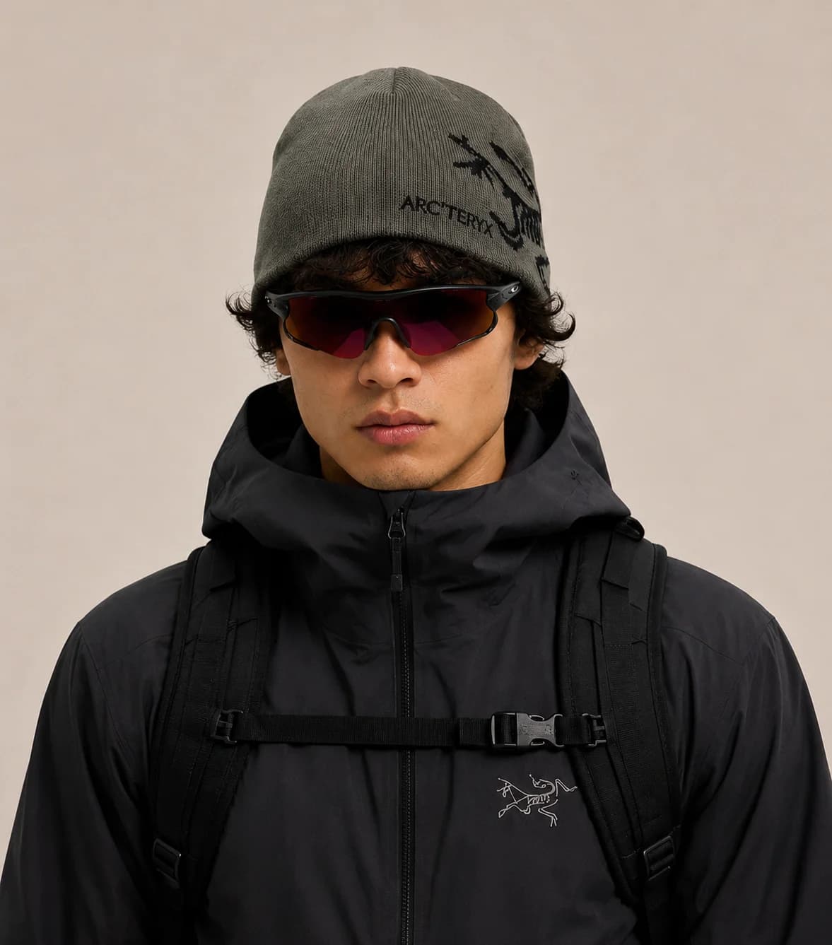 Beanie Dark Gray Logo alternativa